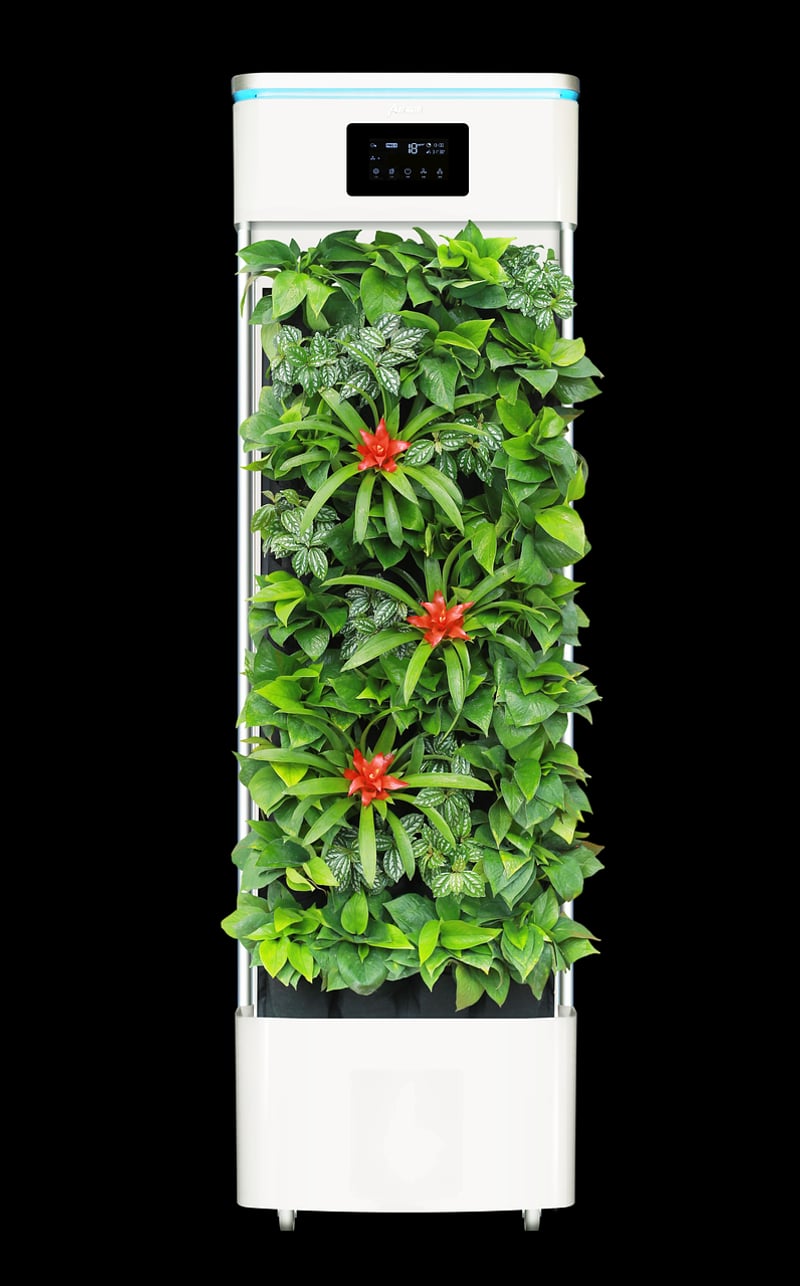 Air Purifying Varieties